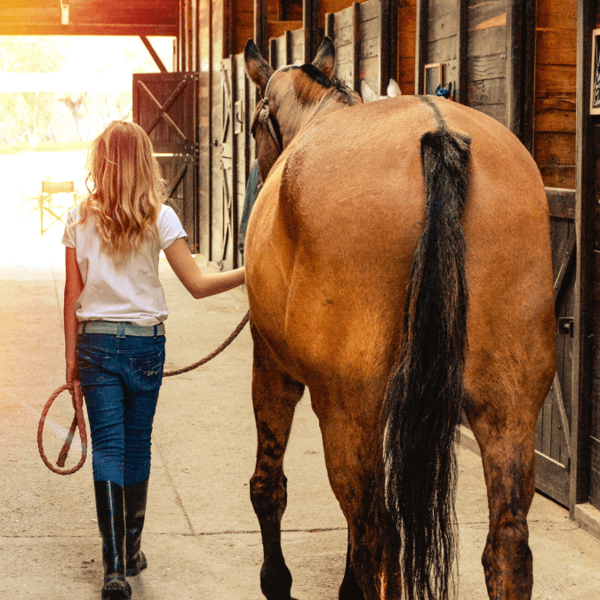 Starting with a green horse