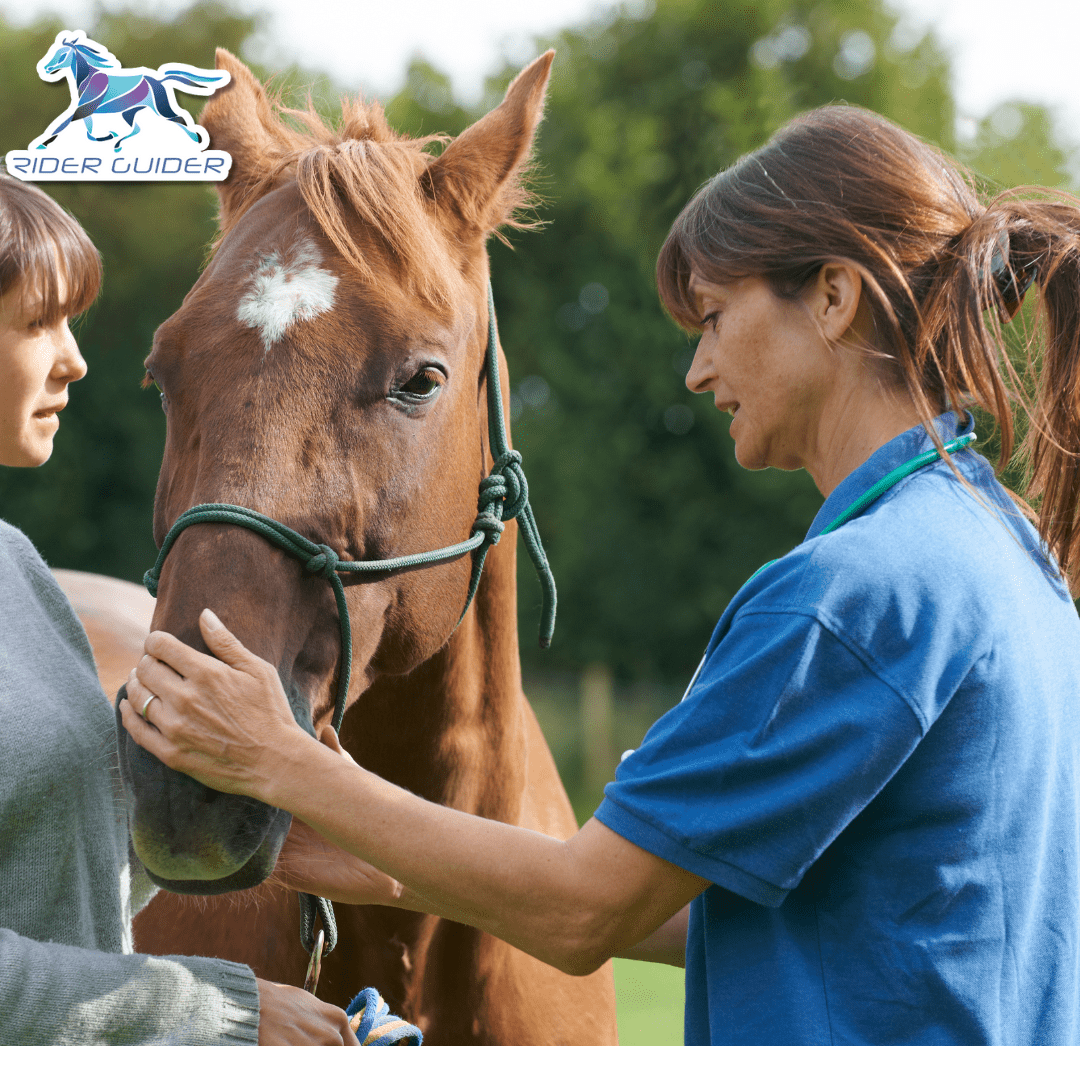 EQUINE METABOLIC SYNDROME EMS TREATMENT visual data 2
