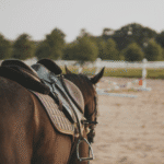 When should you start ridden work with a horse