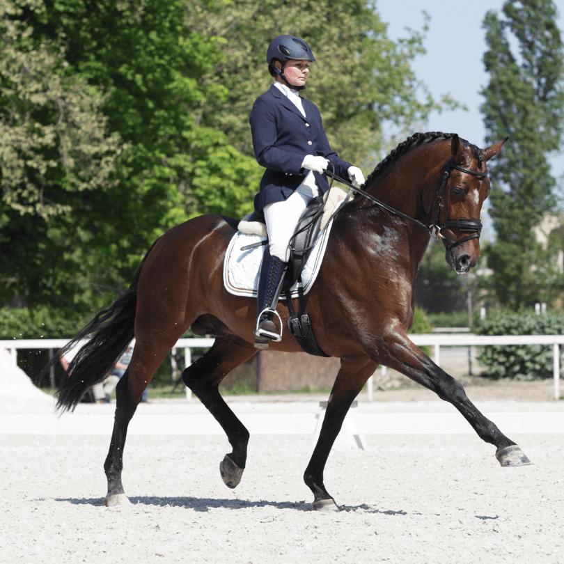 Earn extra marks on your dressage test