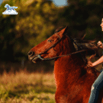 My horse puts it's head in the air