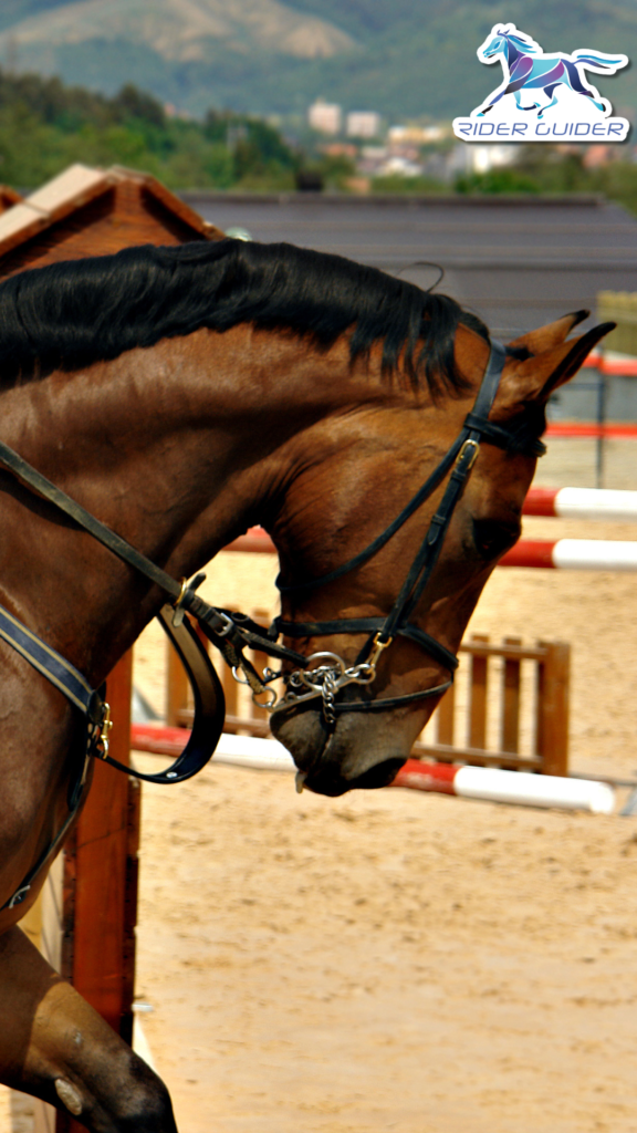 horse leaning… or avoiding